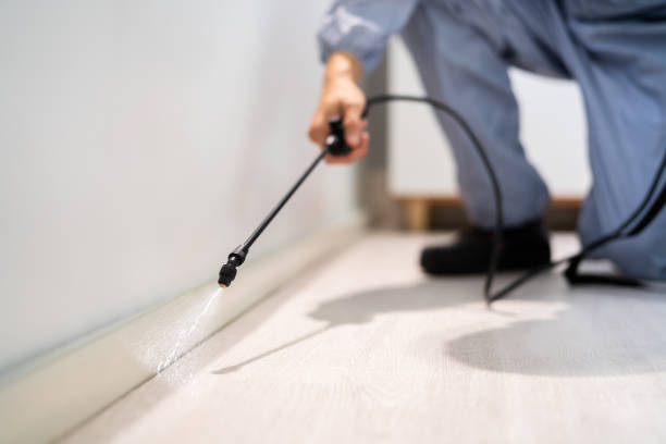 Licensed Cockroach Control service in Charleston, MO - Nex Pest Control