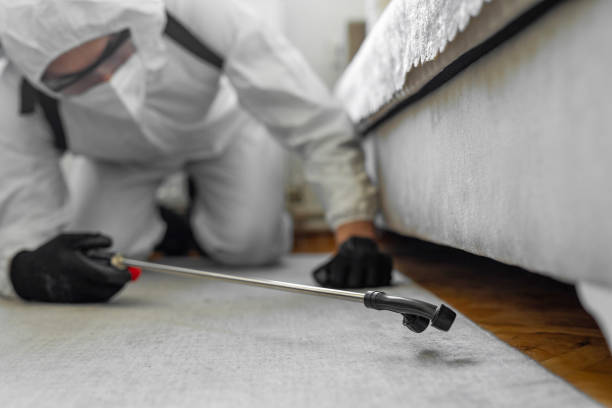 Professional Cockroach Control technician working in Charleston, MO