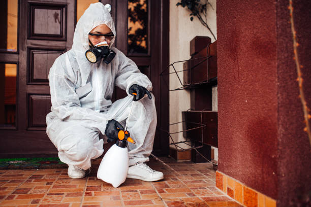 Reliable Cockroach Control contractor in Charleston, MO by Nex Pest Control