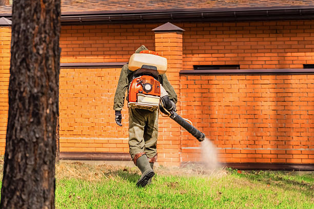 Top rated local Cockroach Control specialists in Charleston, MO
